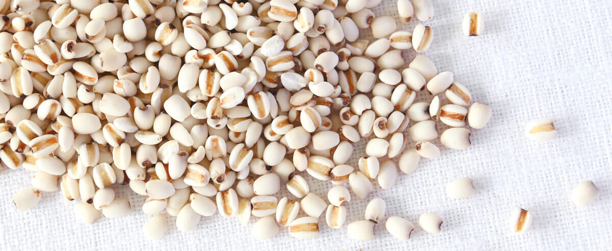 はとむぎが選ばれる理由