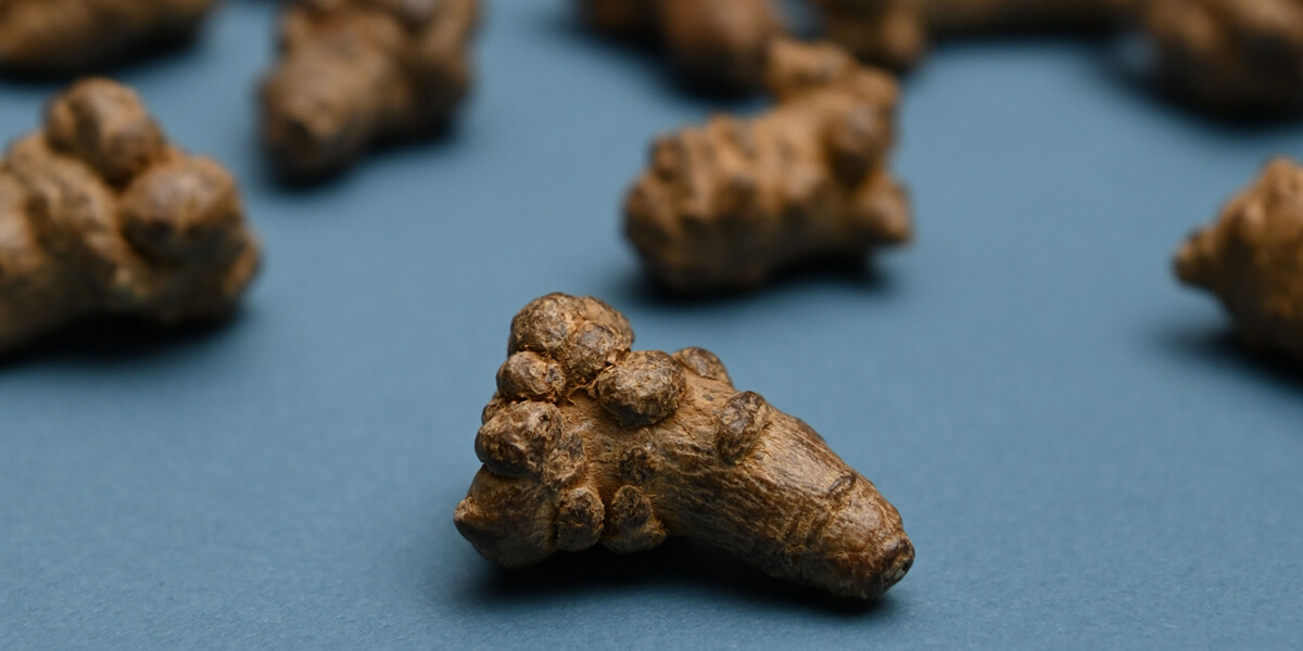 発酵田七人参 こんな方におすすめ｜太陽食品 それいゆ