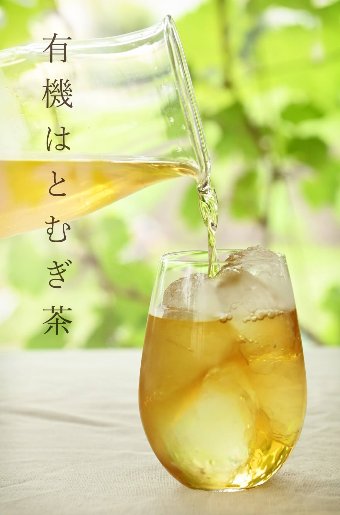 奈良県産 有機はとむぎ茶