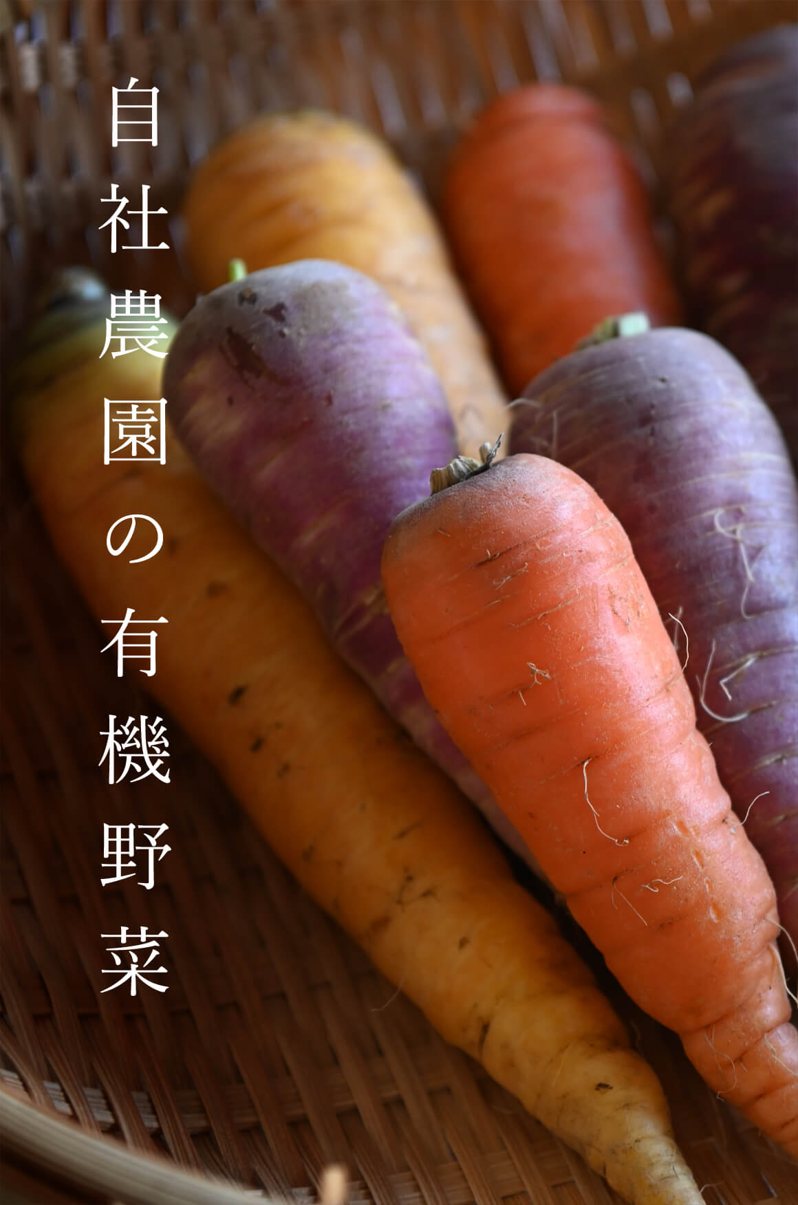 奈良県産 有機野菜