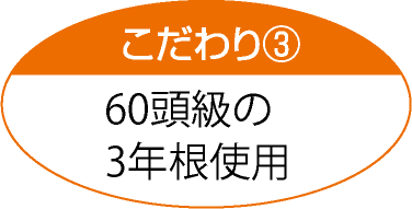 60頭級3年根の田七人参原料｜太陽食品 それいゆ