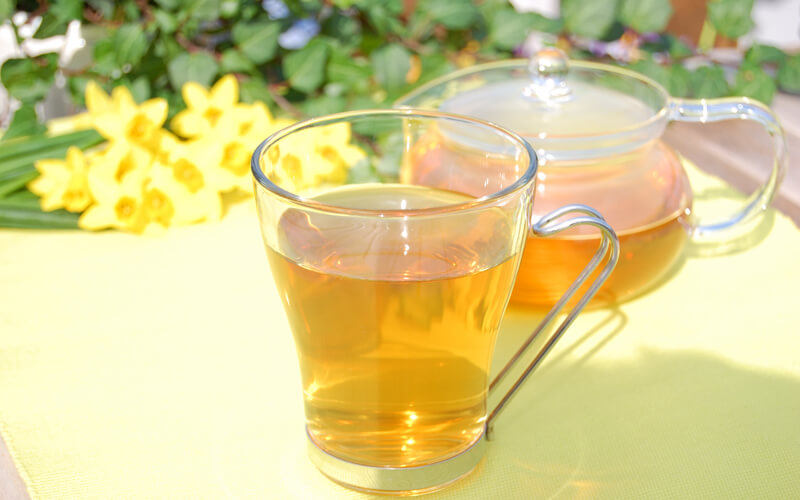 活性はとむぎ美人茶 有機栽培　はとむぎ100％